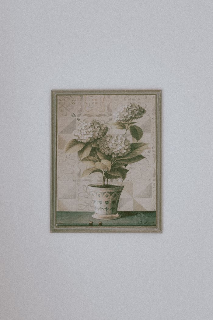 Elegant retro styled painting of gentle potted houseplants in wooden frame hanging on white wall