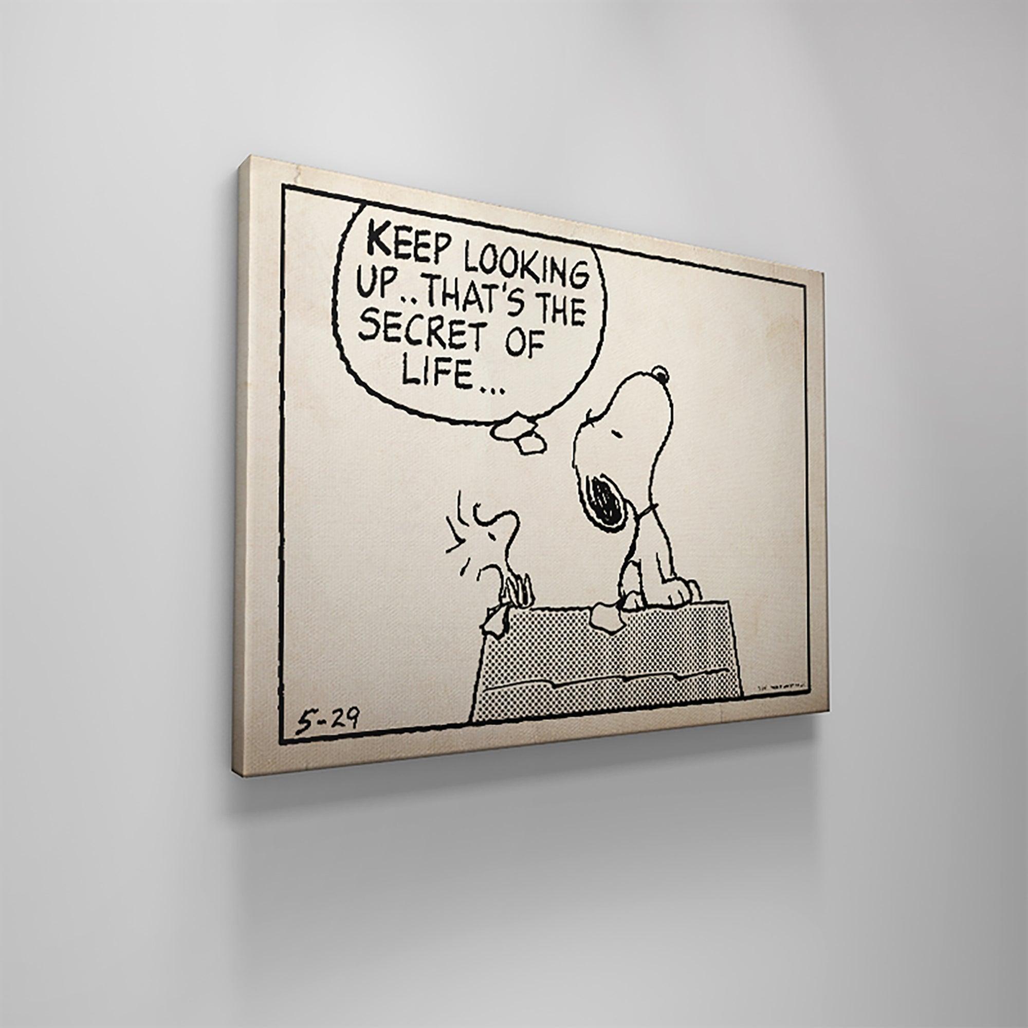peanuts keep looking up sketch peanuts keep looking up sketch