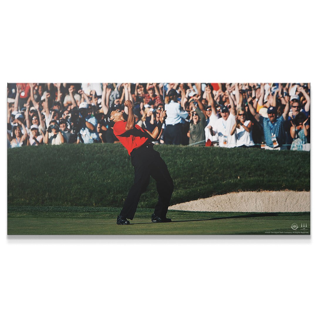 tiger woods give everything tiger woods give everything
