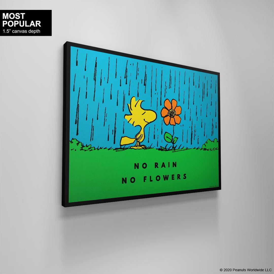 peanuts no rain no flowers peanuts no rain no flowers