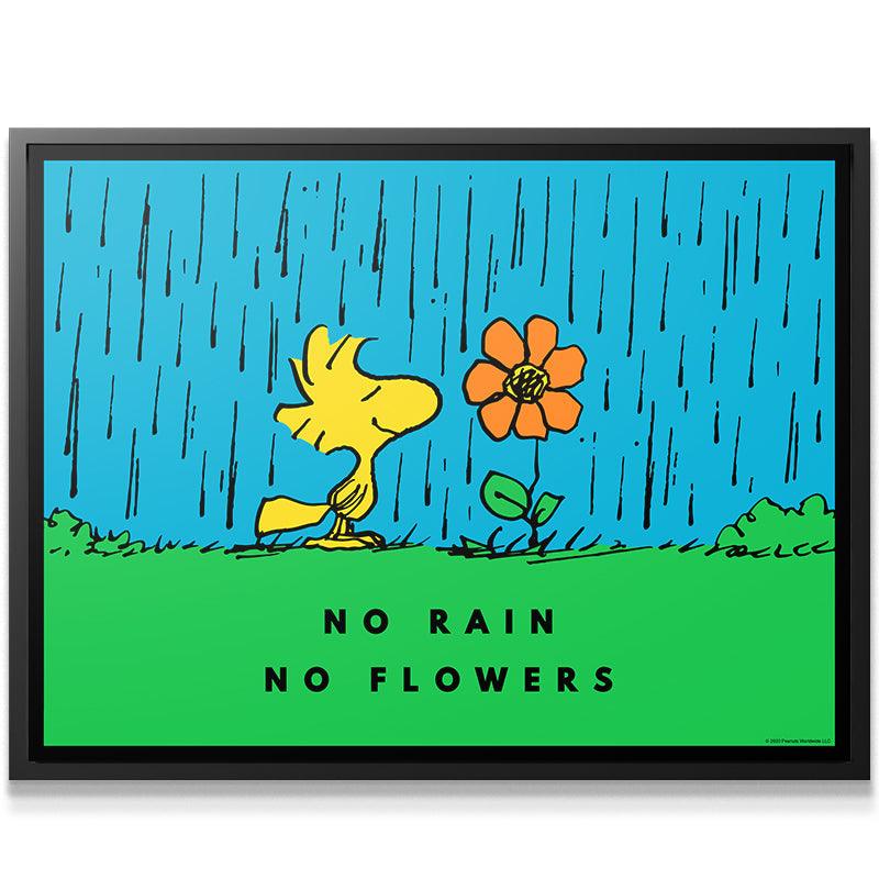 peanuts no rain no flowers peanuts no rain no flowers