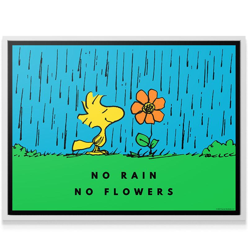 peanuts no rain no flowers peanuts no rain no flowers