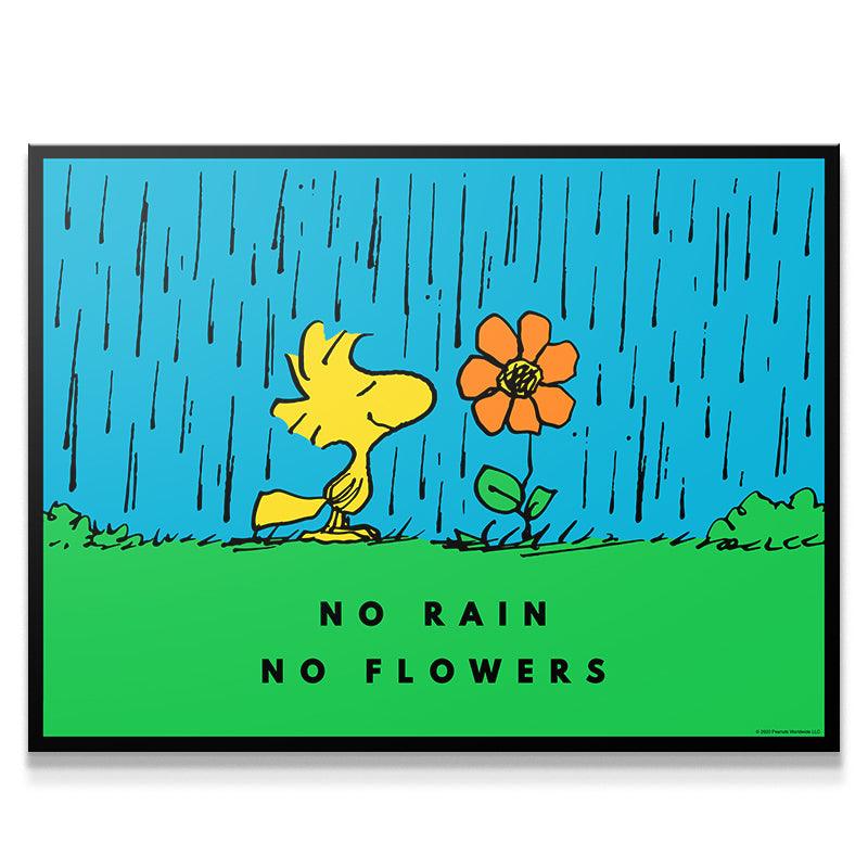 peanuts no rain no flowers peanuts no rain no flowers