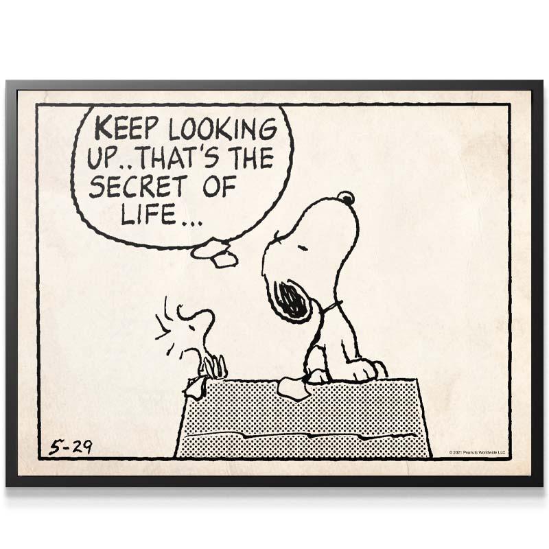 peanuts keep looking up sketch peanuts keep looking up sketch