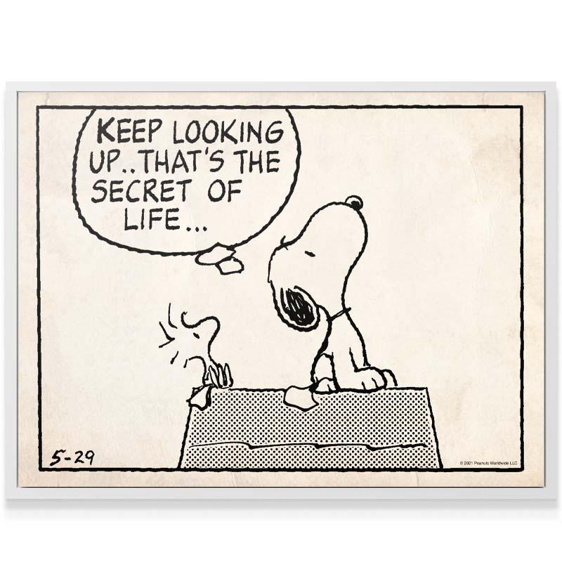 peanuts keep looking up sketch peanuts keep looking up sketch