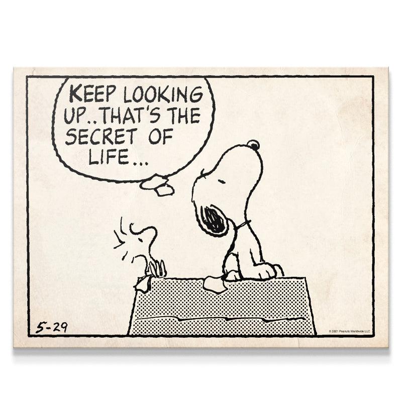 peanuts keep looking up sketch peanuts keep looking up sketch